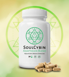 adaptogen blend – “alignment”