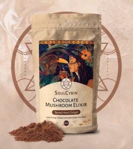 chocolate mushroom elixir – “sacred heart delight”