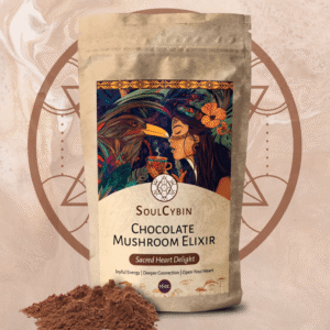 chocolate mushroom elixir – “sacred heart delight”