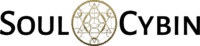 soulcybin logo