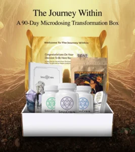 the journey within – a 90 day microdosing transformation box