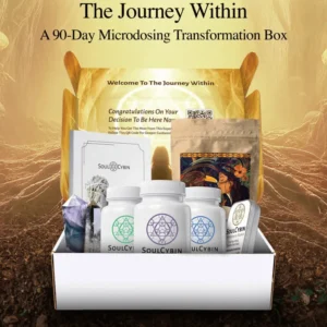 the journey within – a 90 day microdosing transformation box